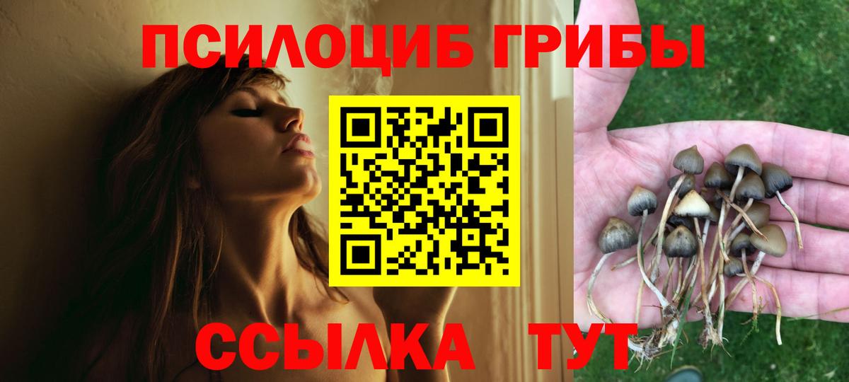 даркнет сайт  Вход с VPN  Псилоцибиновые грибы Psilocybe  Большой Камень  Псилоцибиновые грибы ЛСД 